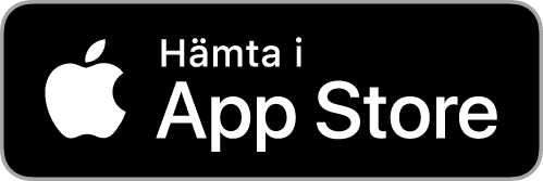 App Store icon