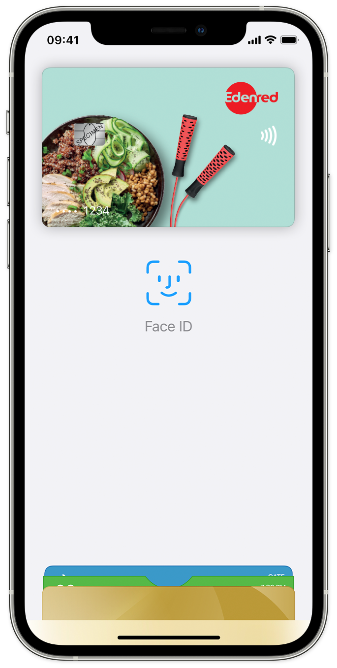 Apple Pay skärm